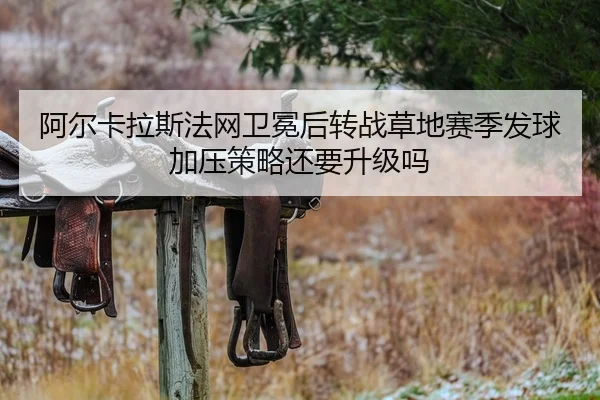 a-er-ka-la-si-fa-wang-wei-mian-hou-zhuan-zhan-cao-di-sai-ji-fa-qiu-jia-ya-ce-lve-hai-yao-sheng-ji-ma-2-382.jpg