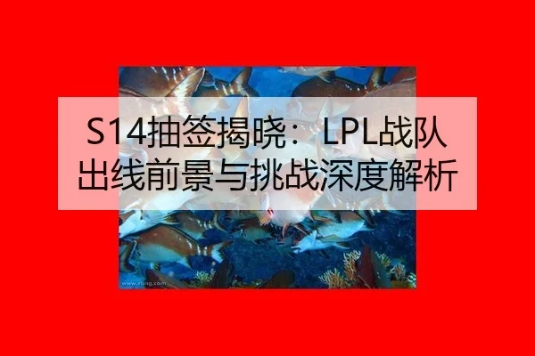 chou-qian-jie-xiao-zhan-dui-chu-xian-qian-jing-yu-tiao-zhan-shen-du-jie-xi-3-228.jpg