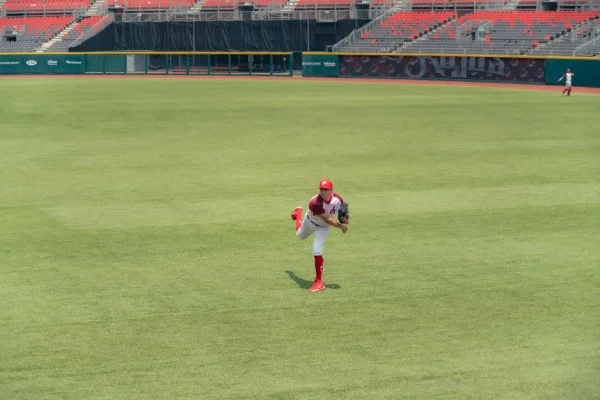 baseball game action